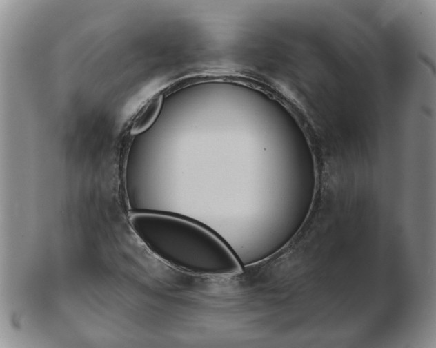 X0000102791456200809081039