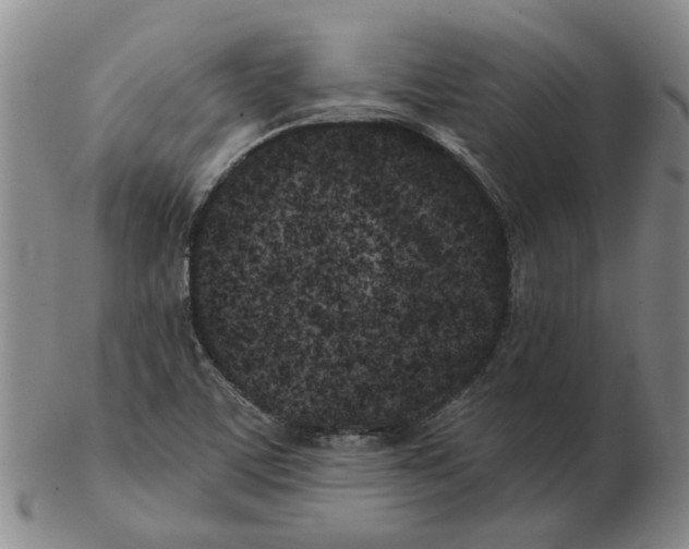 X0000102791459200809081039