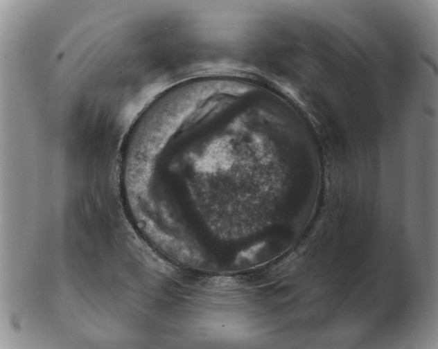 X0000102791463200809081039