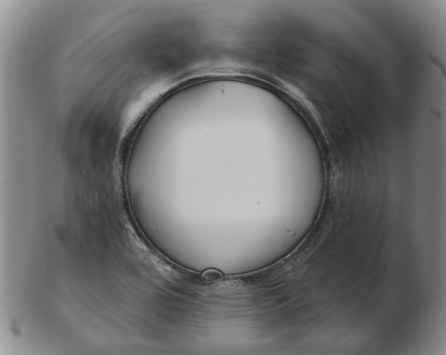 X0000102791464200809081039