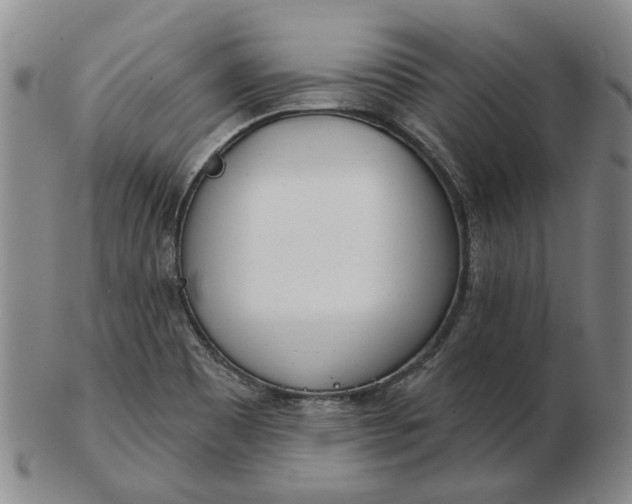 X0000102791465200809081039