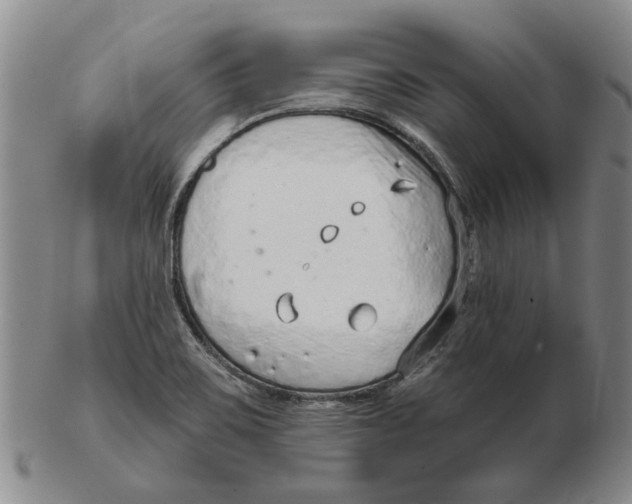 X0000102791467200809081039