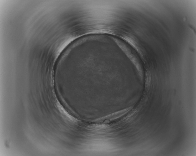 X0000102791468200809081039