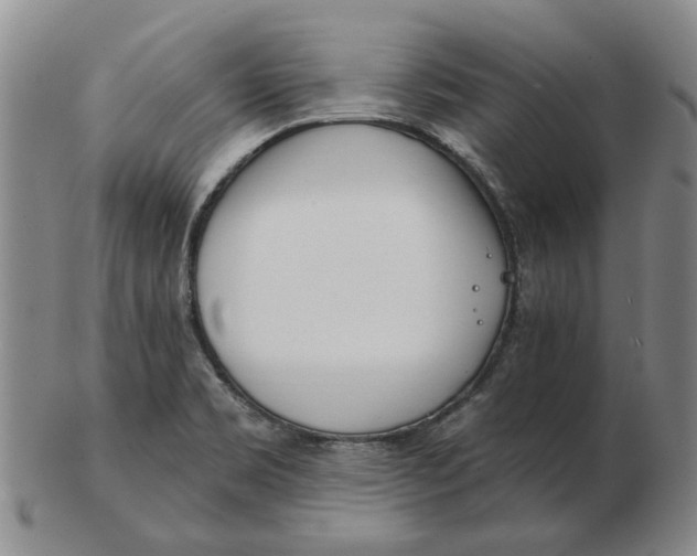 X0000102791469200809081039