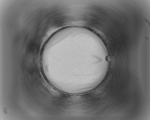 X0000102791470200809081039