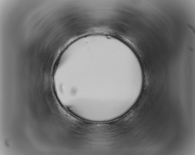 X0000102791471200809081039