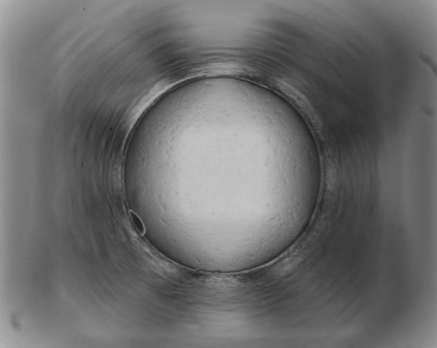 X0000102791473200809081039