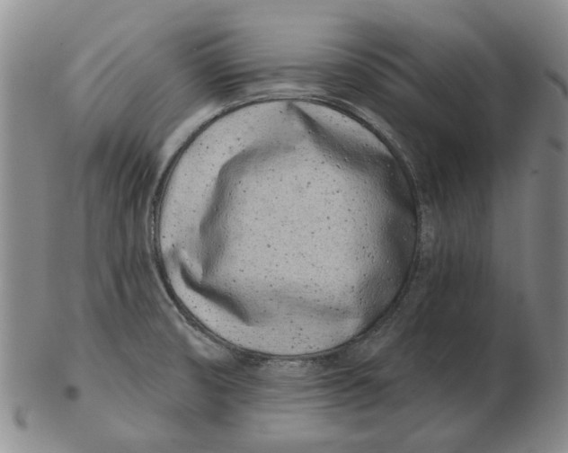 X0000102791474200809081039