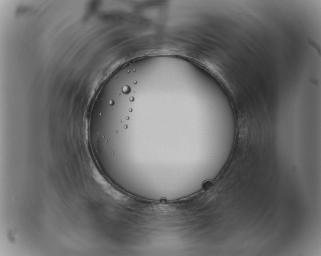 X0000102791476200809081039