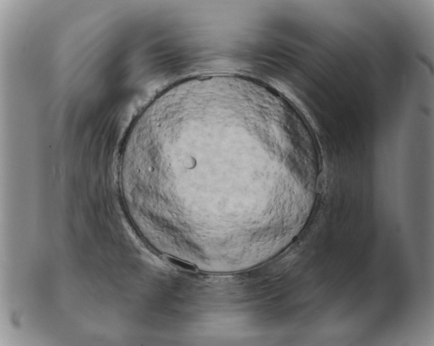 X0000102791477200809081039