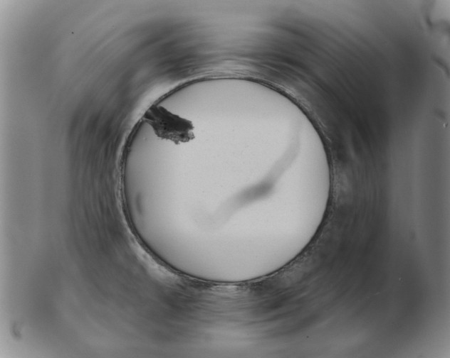 X0000102791478200809081039