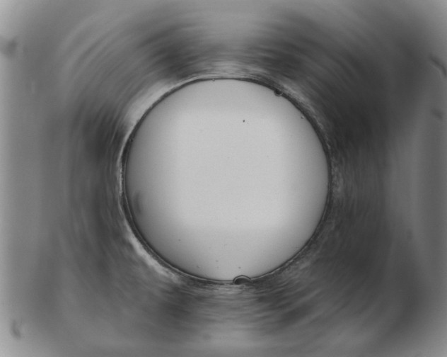 X0000102791479200809081039