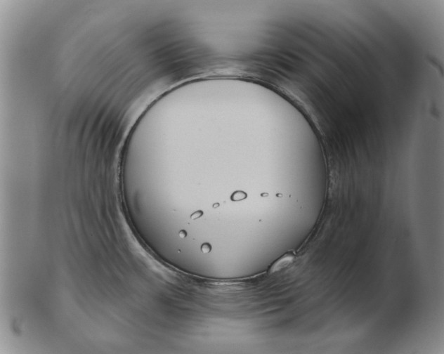 X0000102791483200809081038