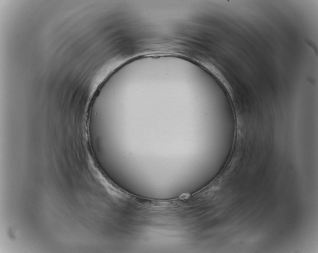 X0000102791485200809081038