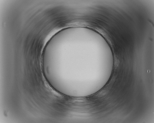 X0000102791486200809081038