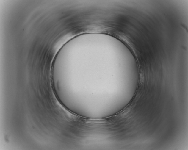 X0000102791487200809081038