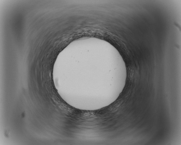 X0000102791489200809081038