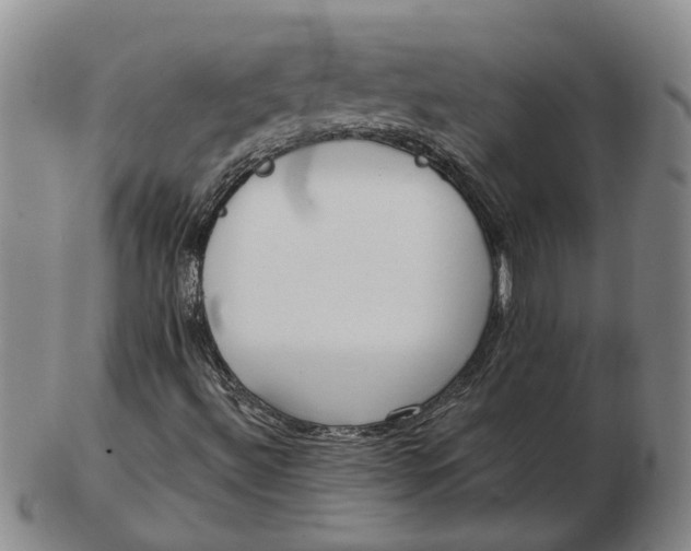 X0000102791492200809081038