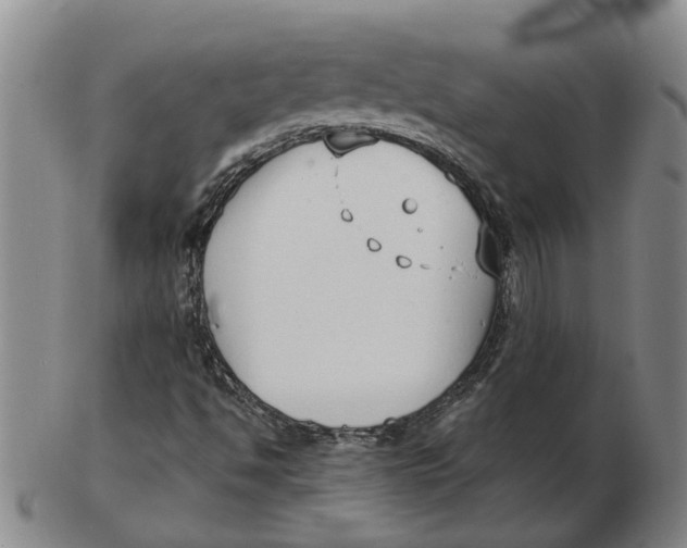 X0000102791494200809081038