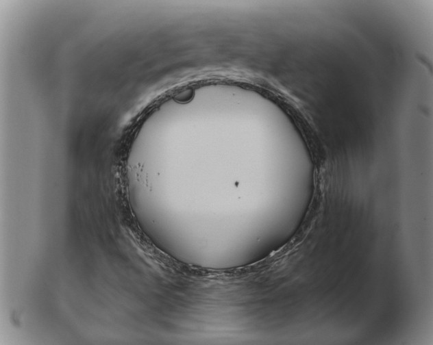 X0000102791496200809081038