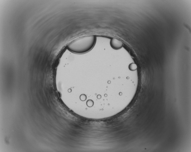 X0000102791498200809081038