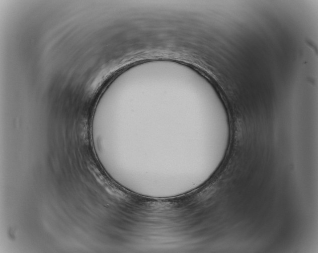 X0000102791499200809081038