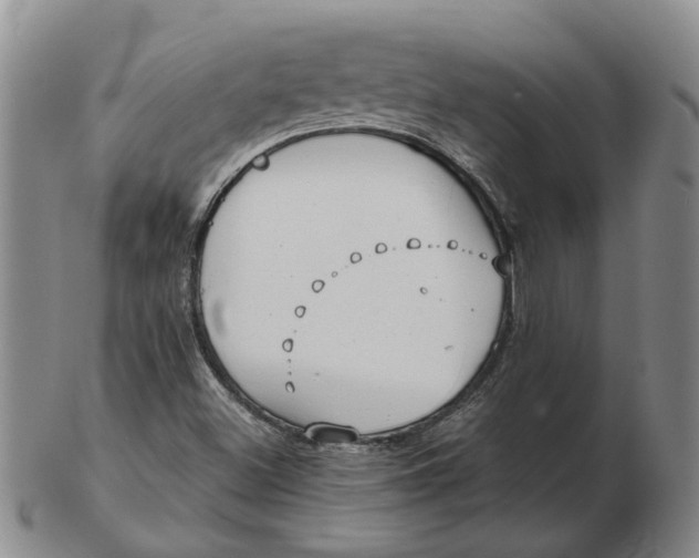 X0000102791500200809081038