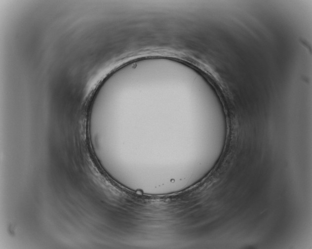 X0000102791504200809081038