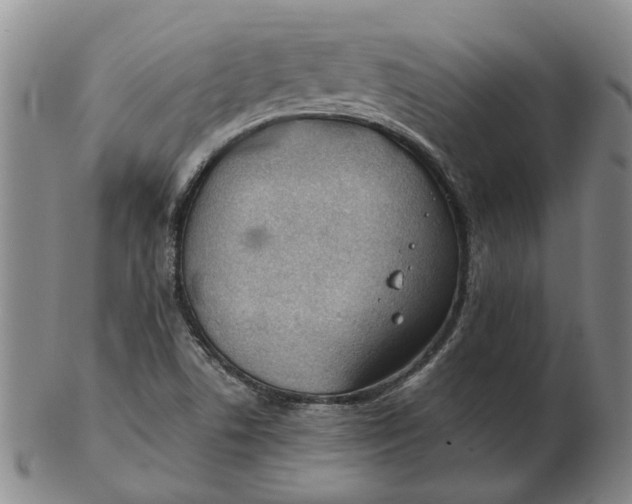 X0000102791506200809081038