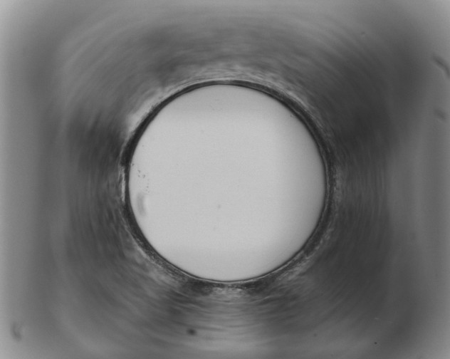 X0000102791509200809081038