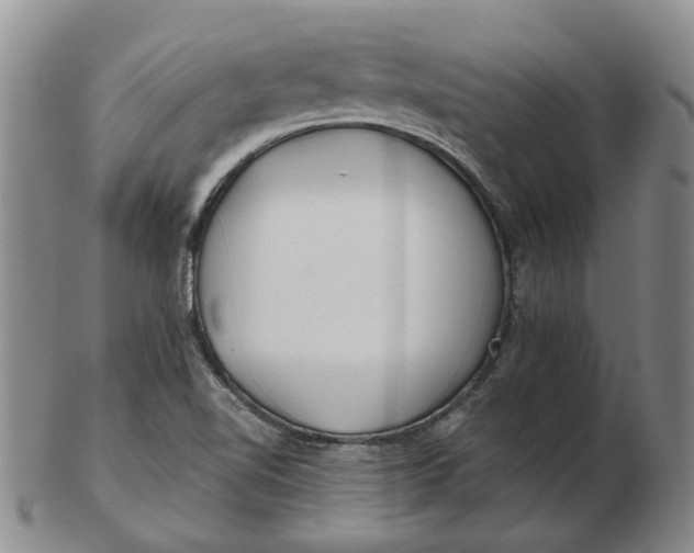 X0000102791510200809081038