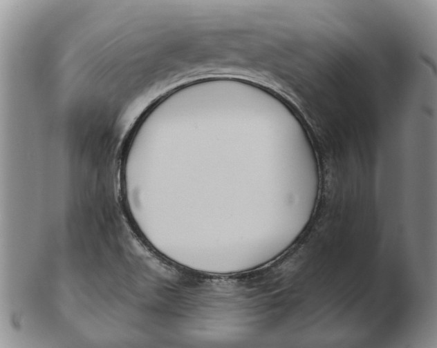 X0000102791511200809081038