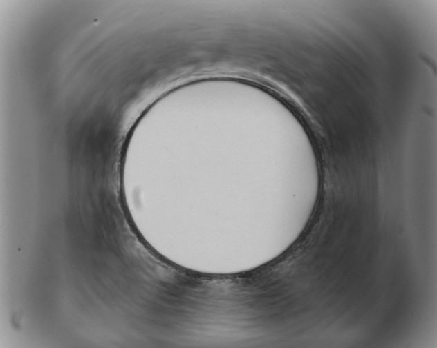 X0000102791512200809081038