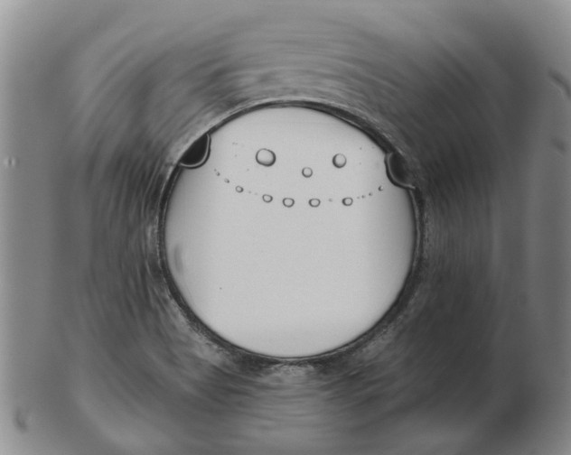 X0000102791513200809081038