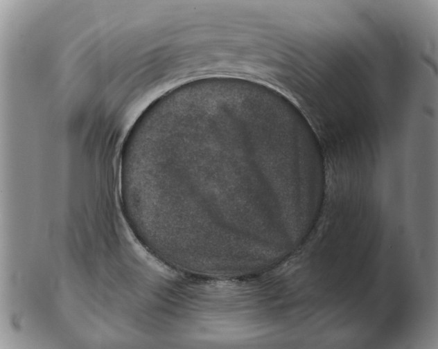 X0000102791515200809081038