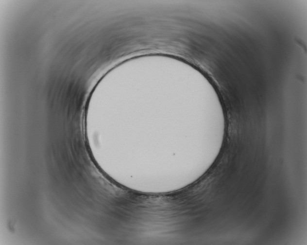 X0000102791516200809081038