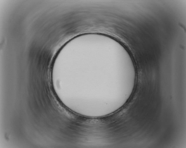 X0000102791517200809081038