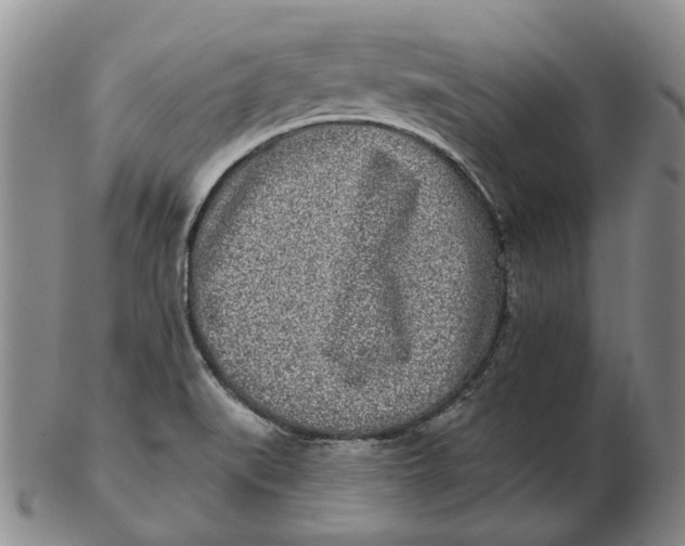 X0000102791519200809081038