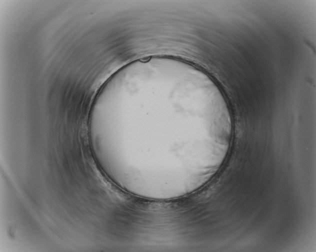 X0000102791521200809081038