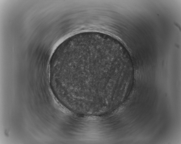 X0000102791522200809081038