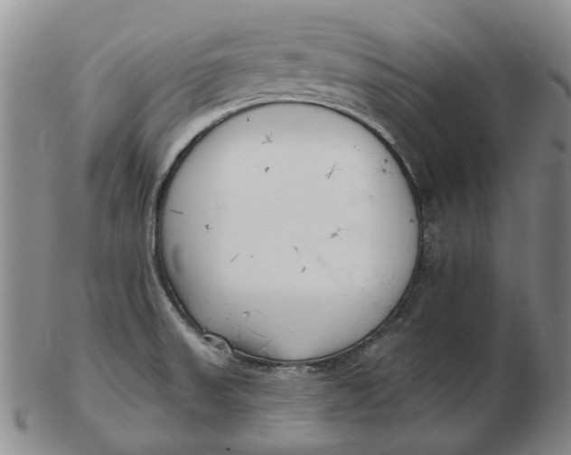 X0000102791523200809081038