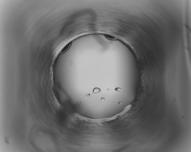 X0000102791524200809081038