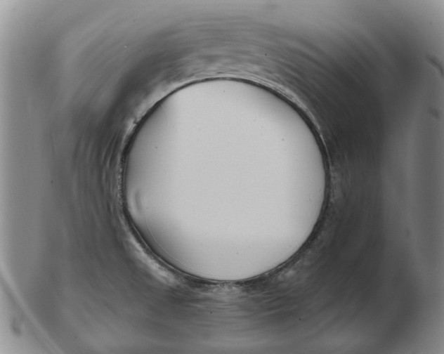 X0000102791525200809081038