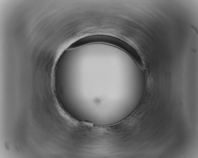 X0000102791528200809081038