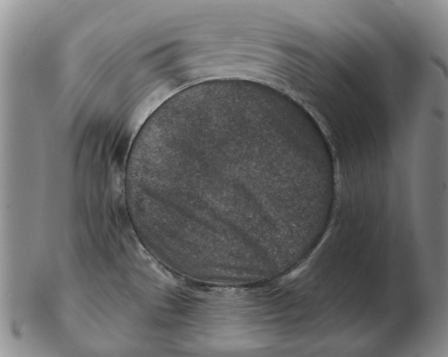 X0000102791529200809081038