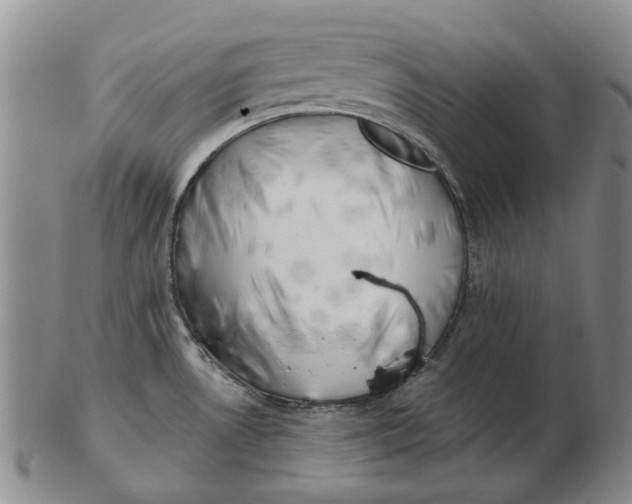 X0000102791530200809081038