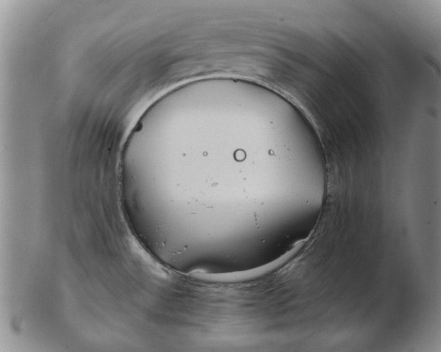 X0000102791532200809081038