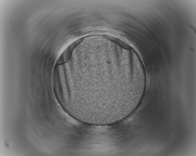 X0000102791533200809081038