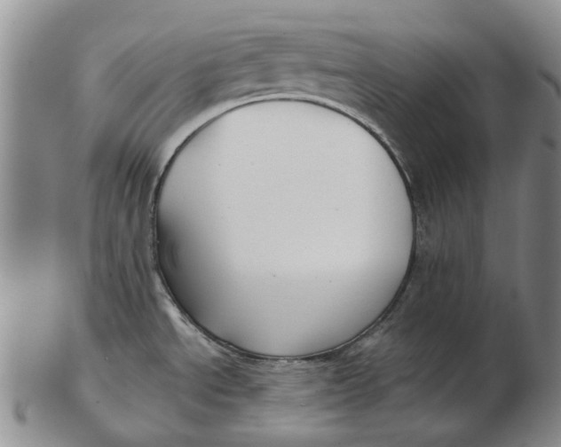 X0000102791534200809081038