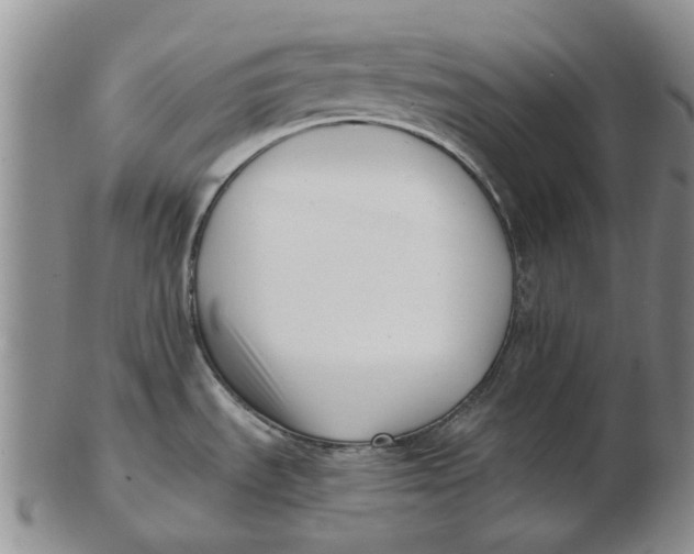 X0000102791535200809081038